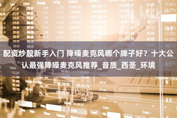 配资炒股新手入门 降噪麦克风哪个牌子好？十大公认最强降噪麦克风推荐_音质_西圣_环境