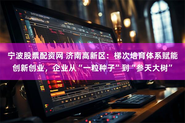 宁波股票配资网 济南高新区：梯次培育体系赋能创新创业，企业从“一粒种子”到“参天大树”